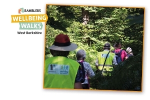 Wellbeing Walks