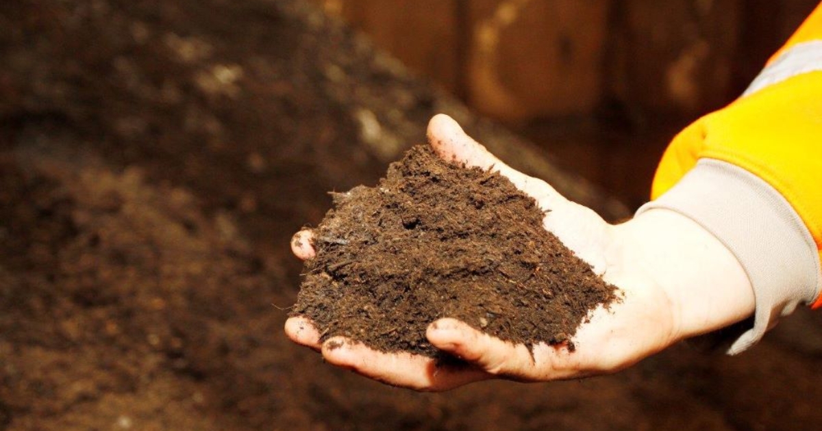 Soil conditioner giveaway returns 