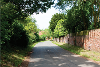 A rural road with trees and hedges overhanging the grass verges either side of the road.
