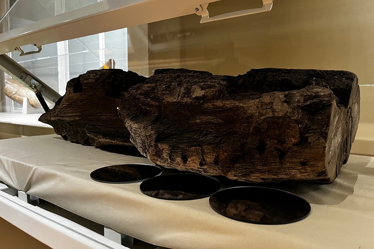 Boxford Timber on display at West Berkshire Museum Boxford Timber on display at West Berkshire Museum