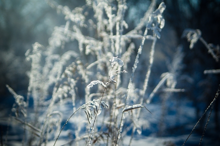 Cold Weather Warning